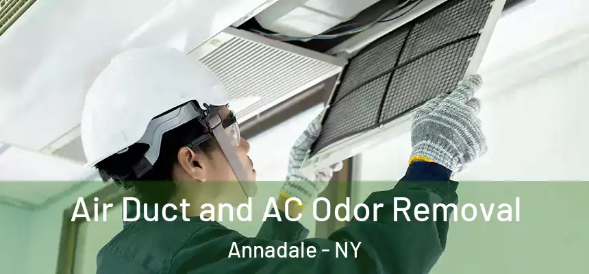 Air Duct and AC Odor Removal Annadale - NY