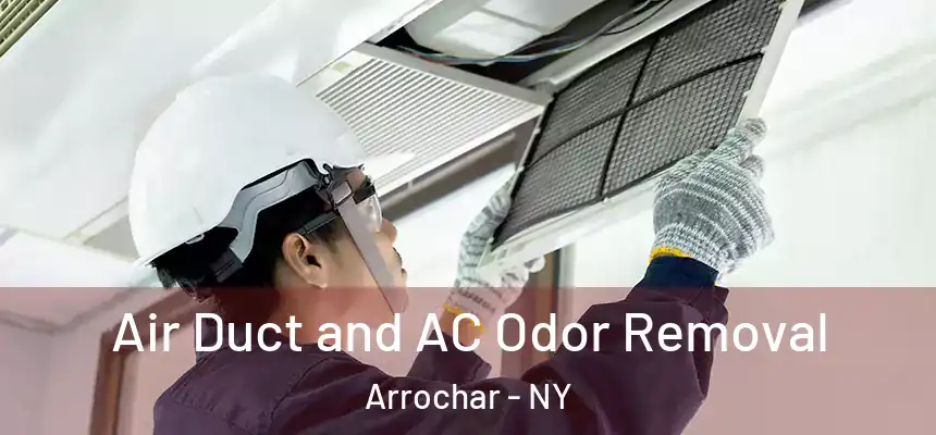  Air Duct and AC Odor Removal Arrochar - NY