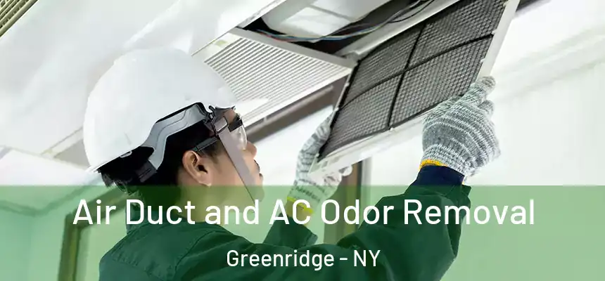Air Duct and AC Odor Removal Greenridge - NY