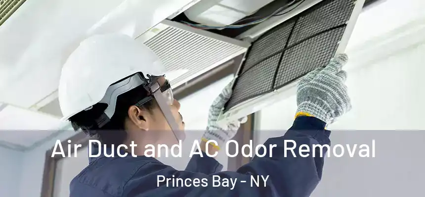 Air Duct and AC Odor Removal Princes Bay - NY