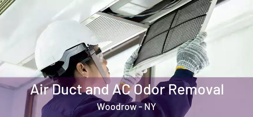 Air Duct and AC Odor Removal Woodrow - NY