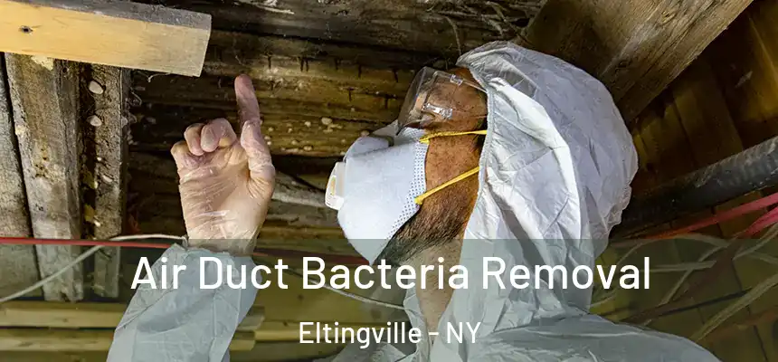  Air Duct Bacteria Removal Eltingville - NY