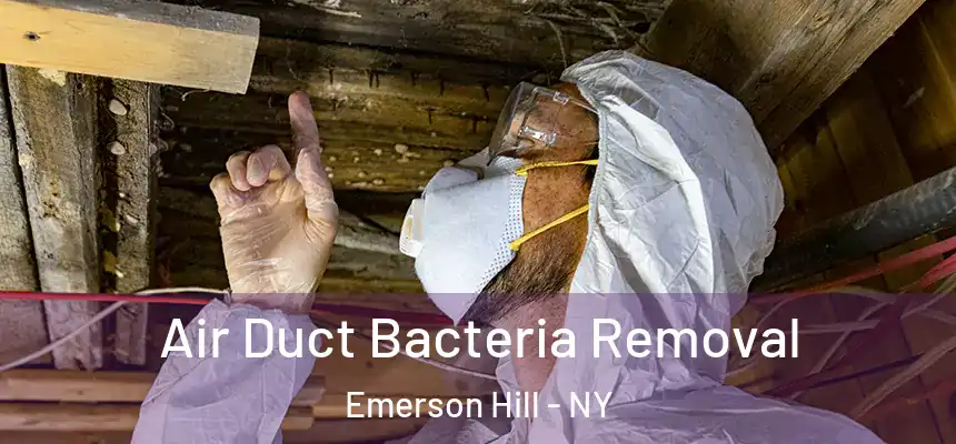 Air Duct Bacteria Removal Emerson Hill - NY