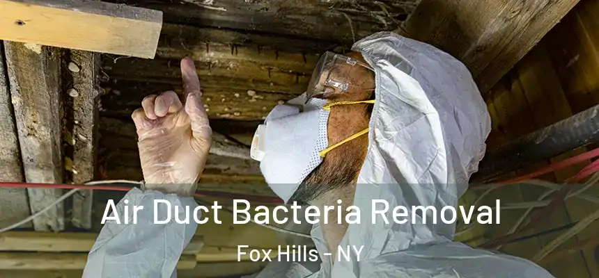 Air Duct Bacteria Removal Fox Hills - NY