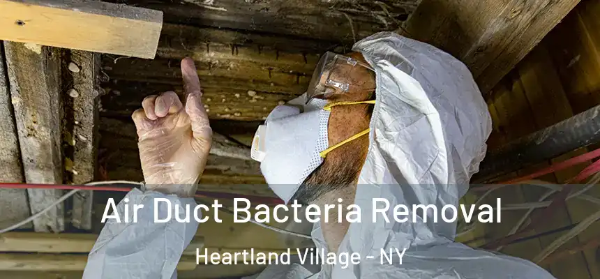  Air Duct Bacteria Removal Heartland Village - NY