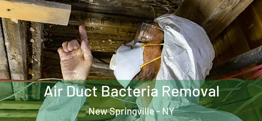 Air Duct Bacteria Removal New Springville - NY