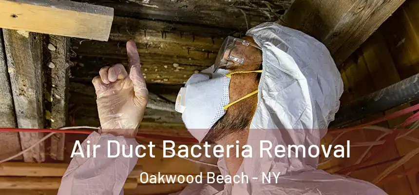 Air Duct Bacteria Removal Oakwood Beach - NY