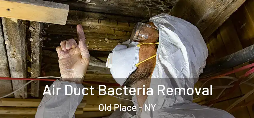 Air Duct Bacteria Removal Old Place - NY