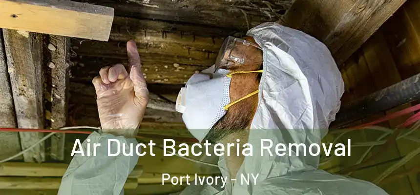 Air Duct Bacteria Removal Port Ivory - NY