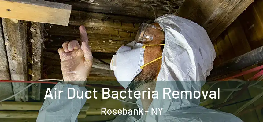  Air Duct Bacteria Removal Rosebank - NY