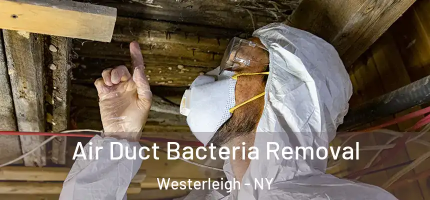 Air Duct Bacteria Removal Westerleigh - NY