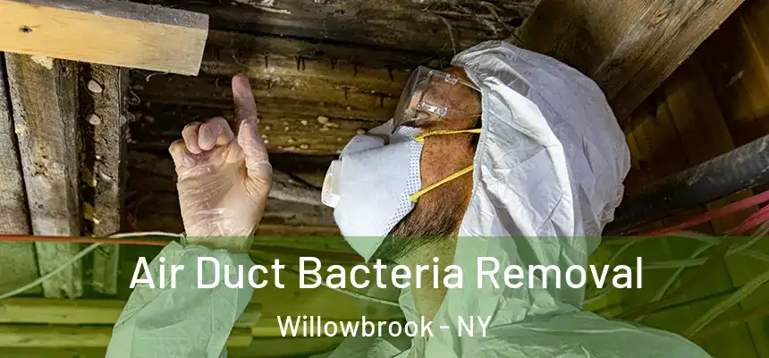 Air Duct Bacteria Removal Willowbrook - NY