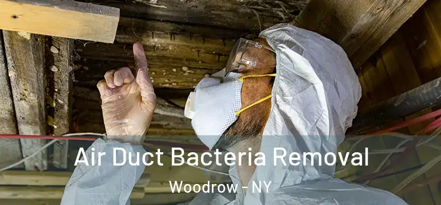 Air Duct Bacteria Removal Woodrow - NY