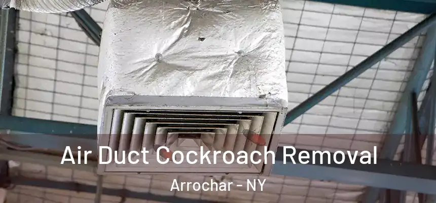  Air Duct Cockroach Removal Arrochar - NY