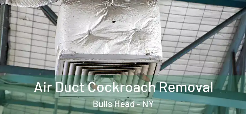  Air Duct Cockroach Removal Bulls Head - NY