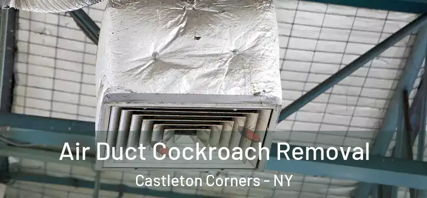  Air Duct Cockroach Removal Castleton Corners - NY