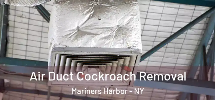 Air Duct Cockroach Removal Mariners Harbor - NY