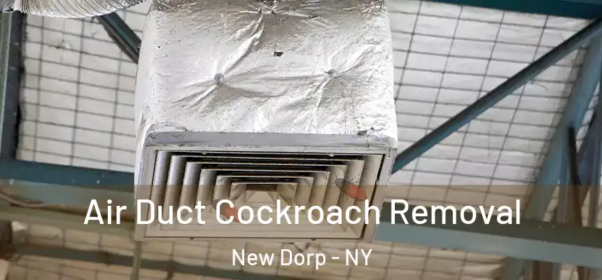 Air Duct Cockroach Removal New Dorp - NY