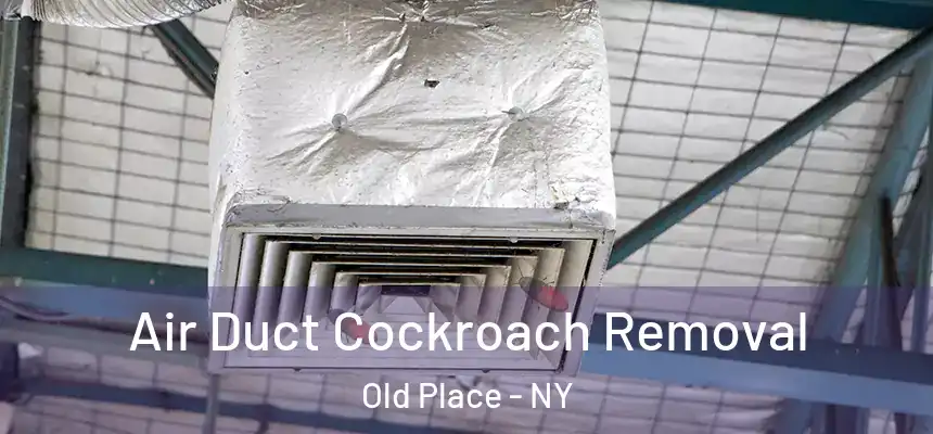 Air Duct Cockroach Removal Old Place - NY
