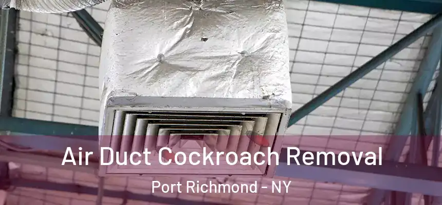  Air Duct Cockroach Removal Port Richmond - NY