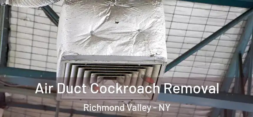 Air Duct Cockroach Removal Richmond Valley - NY