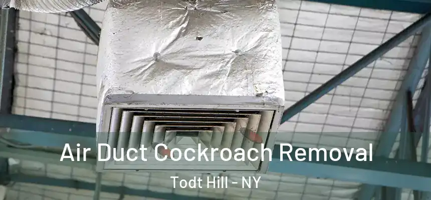 Air Duct Cockroach Removal Todt Hill - NY