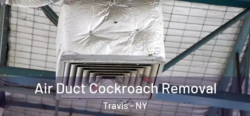 Air Duct Cockroach Removal Travis - NY