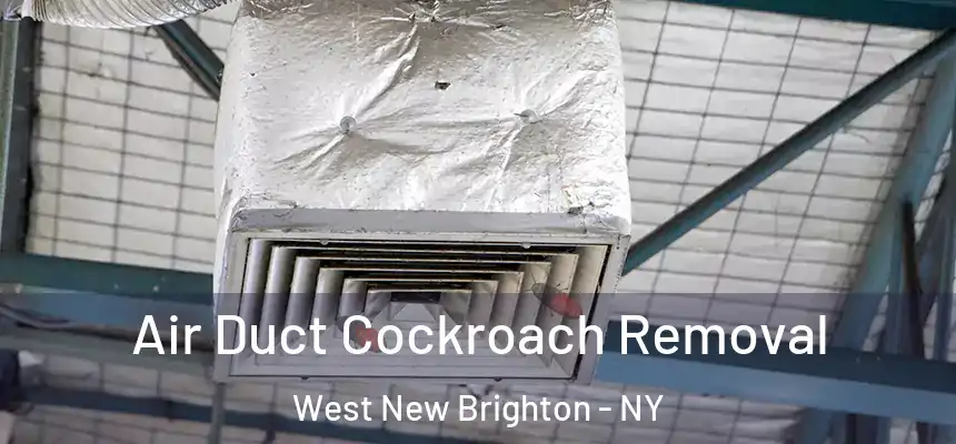 Air Duct Cockroach Removal West New Brighton - NY
