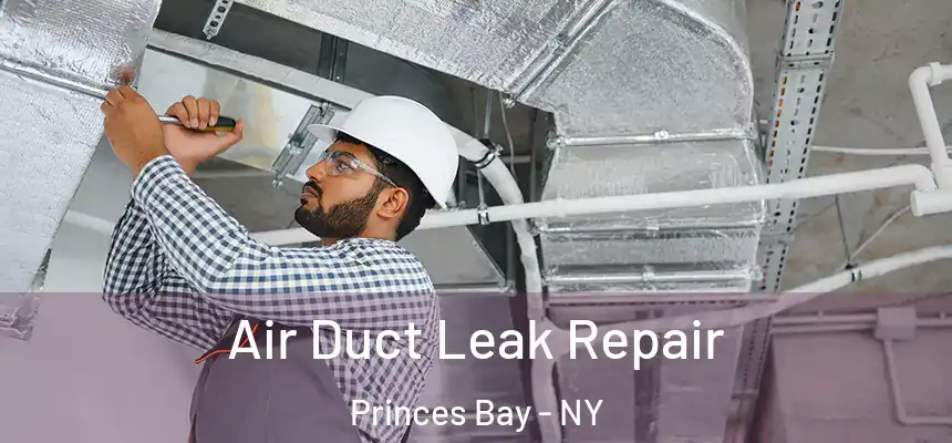  Air Duct Leak Repair Princes Bay - NY