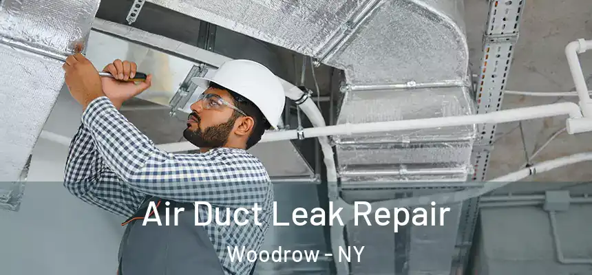 Air Duct Leak Repair Woodrow - NY