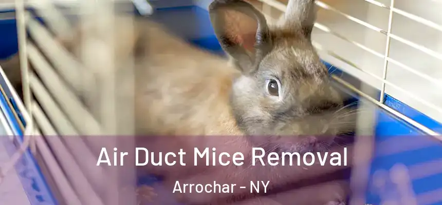 Air Duct Mice Removal Arrochar - NY