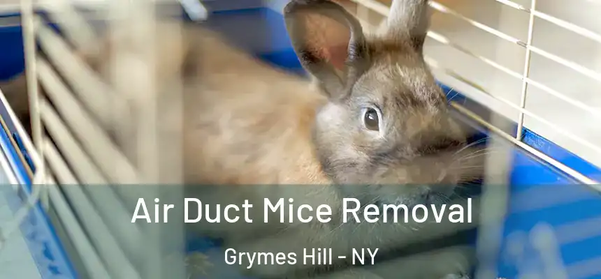  Air Duct Mice Removal Grymes Hill - NY