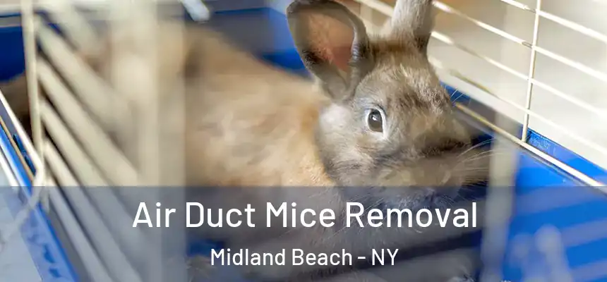 Air Duct Mice Removal Midland Beach - NY