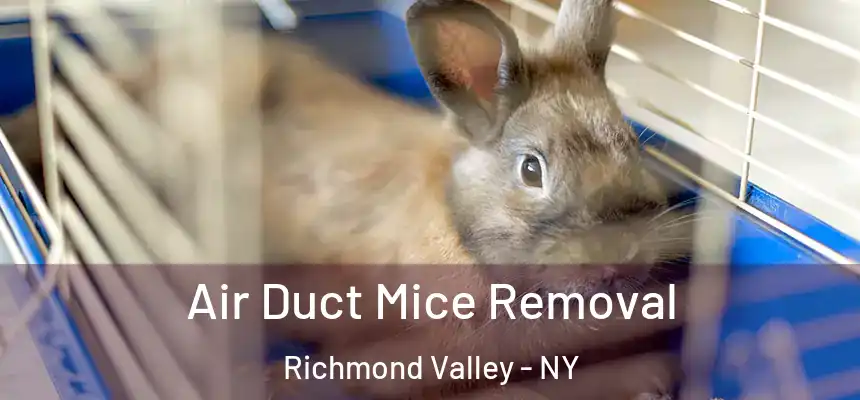  Air Duct Mice Removal Richmond Valley - NY