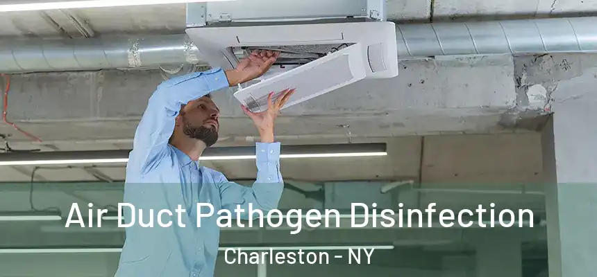 Air Duct Pathogen Disinfection Charleston - NY