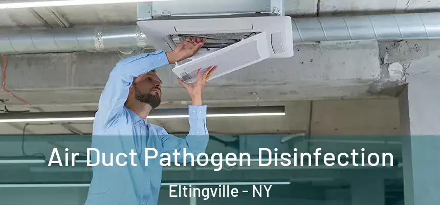Air Duct Pathogen Disinfection Eltingville - NY