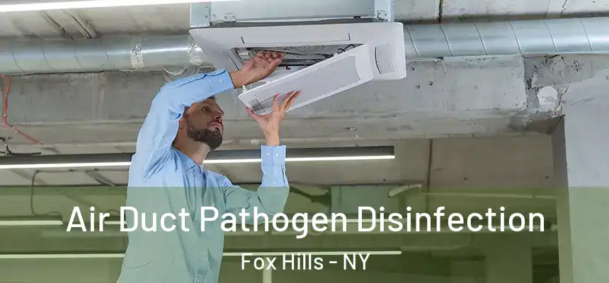 Air Duct Pathogen Disinfection Fox Hills - NY