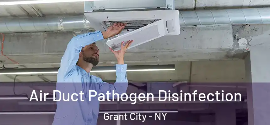  Air Duct Pathogen Disinfection Grant City - NY