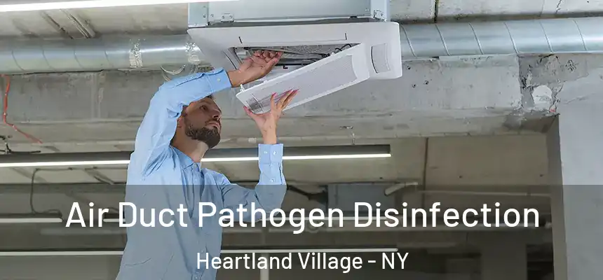 Air Duct Pathogen Disinfection Heartland Village - NY