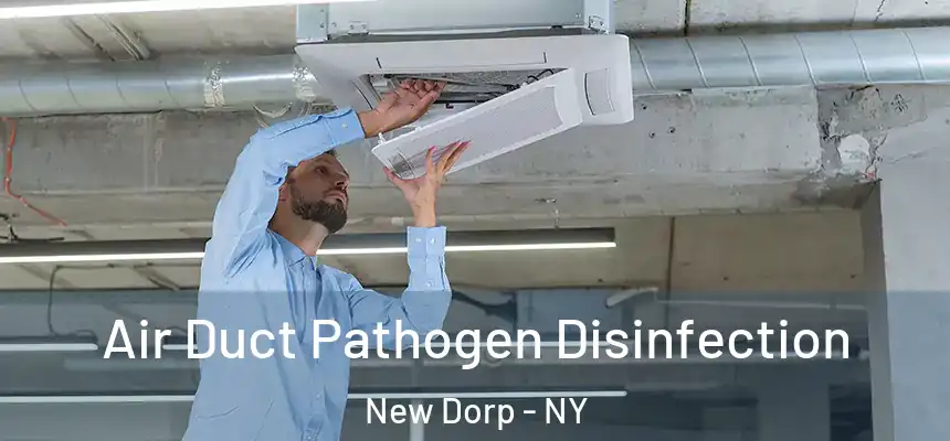  Air Duct Pathogen Disinfection New Dorp - NY