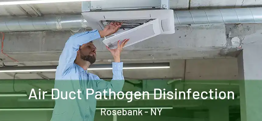 Air Duct Pathogen Disinfection Rosebank - NY