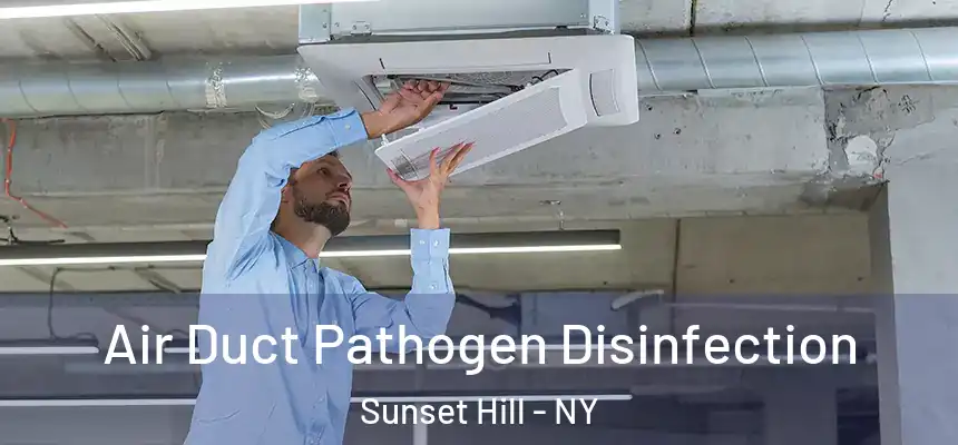 Air Duct Pathogen Disinfection Sunset Hill - NY