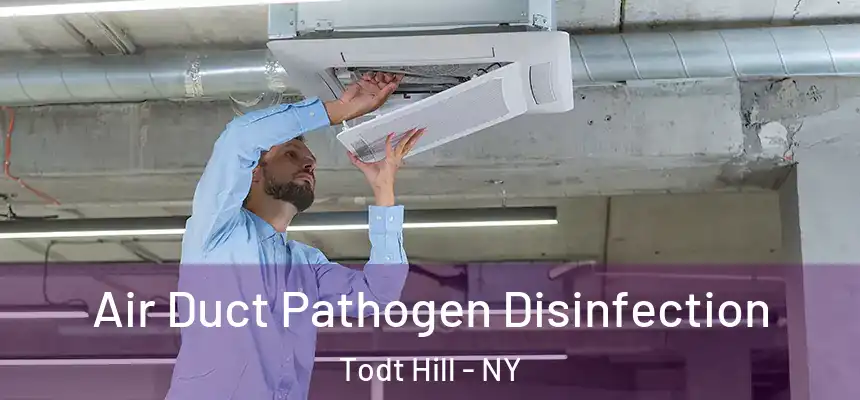  Air Duct Pathogen Disinfection Todt Hill - NY