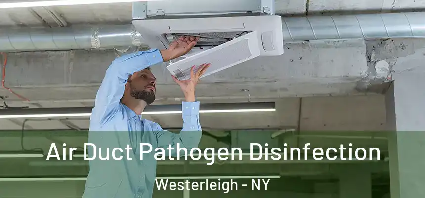 Air Duct Pathogen Disinfection Westerleigh - NY