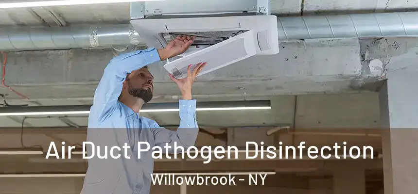 Air Duct Pathogen Disinfection Willowbrook - NY