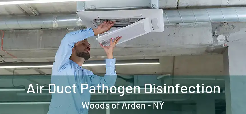 Air Duct Pathogen Disinfection Woods of Arden - NY
