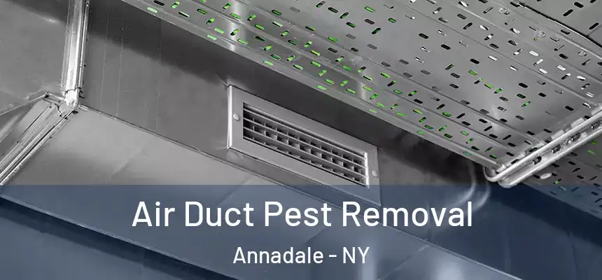 Air Duct Pest Removal Annadale - NY