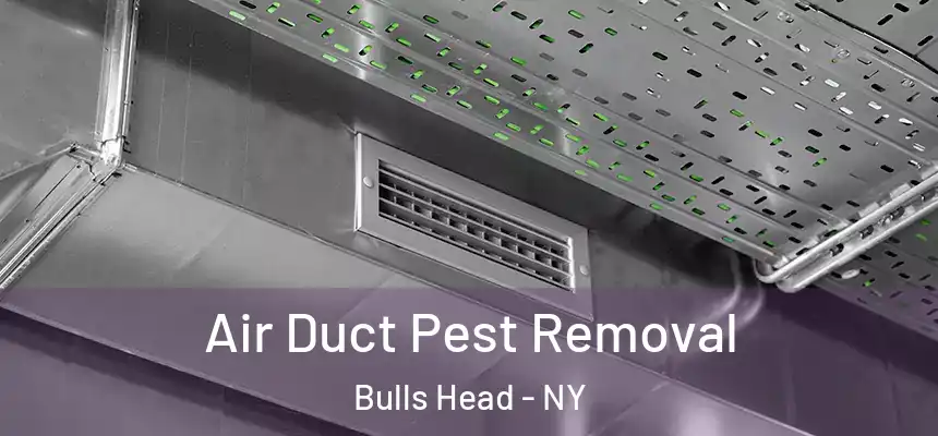 Air Duct Pest Removal Bulls Head - NY