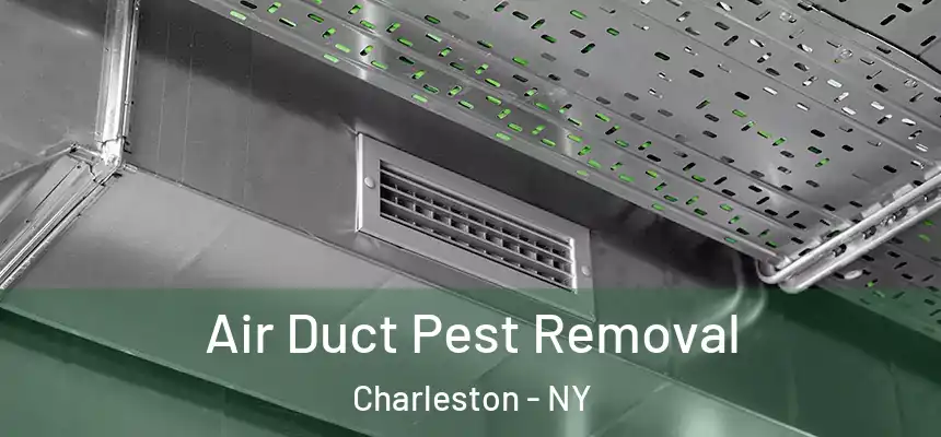 Air Duct Pest Removal Charleston - NY