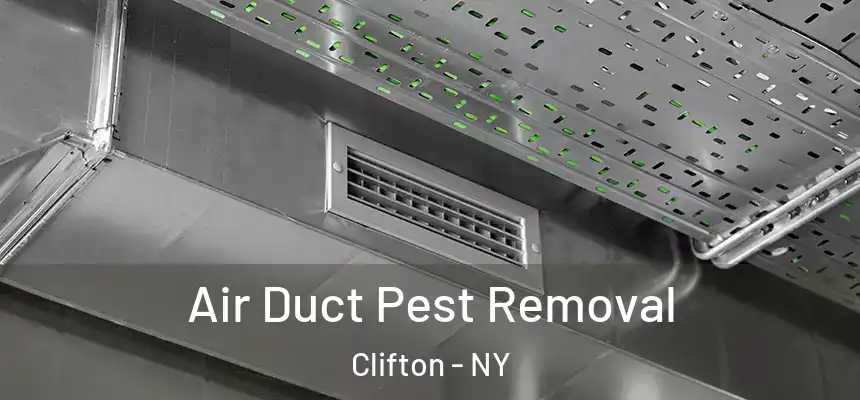  Air Duct Pest Removal Clifton - NY